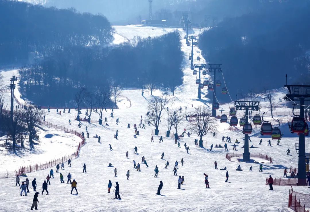 雪道的尽头是骨科？冰雪运动要尽KU游体育快补齐安全短板